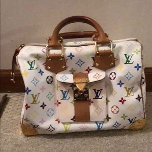 Louis Vuitton Multicolor Bag